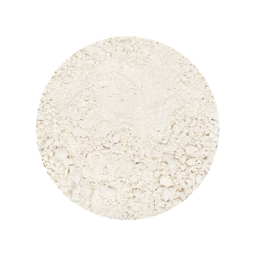 Coconut Water Powder Organic