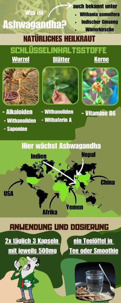 Ashwagandha infographic