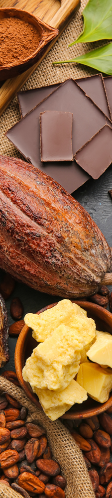 Verschillende soorten cacao producten