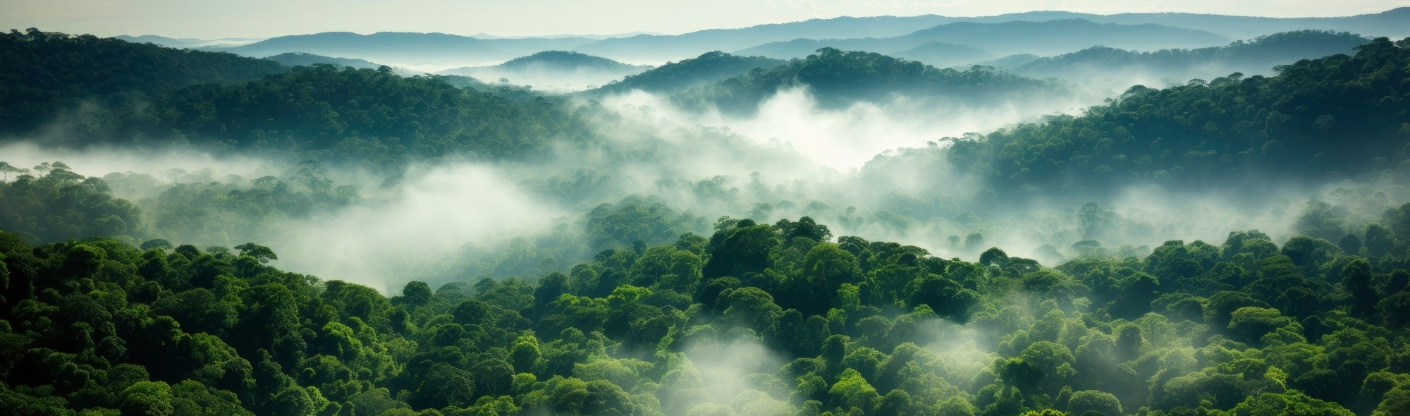 Ecologische Voetafdruk 