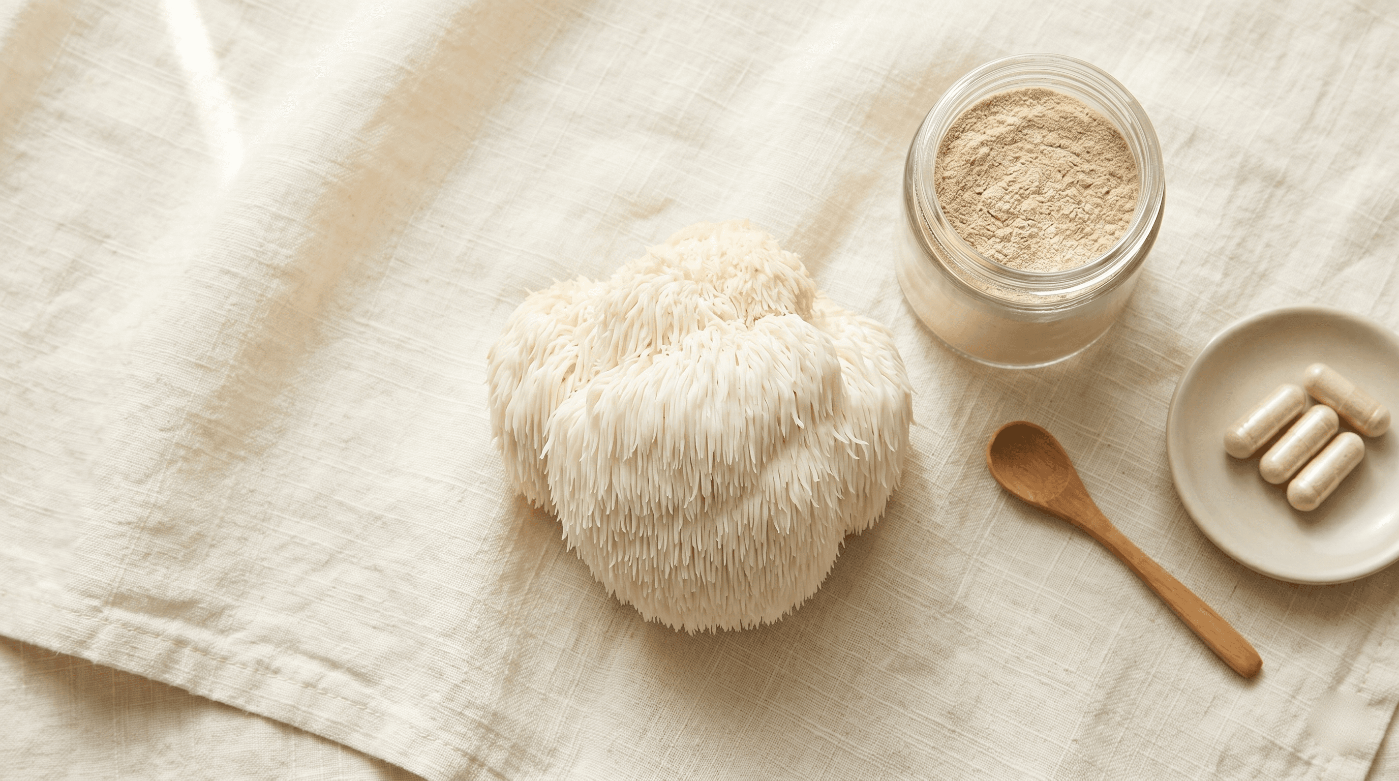  Lion's Mane bijwerkingen & dosering